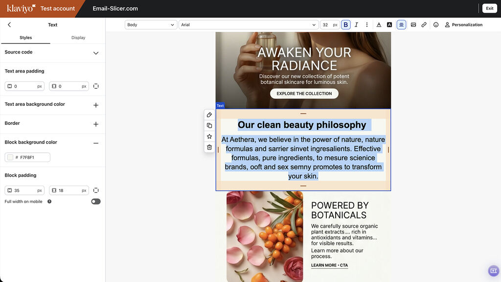 The exported template open in Klaviyo with an editable text block selected